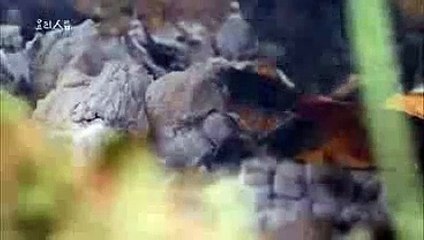 카지노빅휠／／ ＫＯＮ２０。ＣＯＭ ／／오이경마장