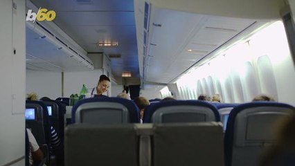 The Best and Worst Foods to Eat from the Airplane Menu