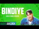 Pamma Canadian | Bindiye | Sukhpal Sukh | (Full Album) | (Audio Jukebox) | Latest Punjabi Songs 2018