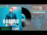 Gabhru | Full Audio Song | Satt Dhillon | Latest Punjabi Songs 2018 | Finetone