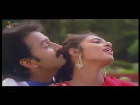 Love Song Pudhiya Paravai Video Song || Thendral Varum Theru Tamil Movie Music By Ilayaraja