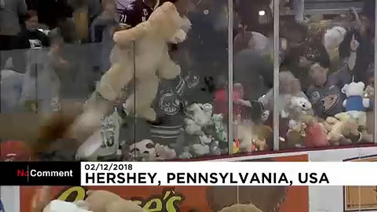 Teddybären erobern eishockey-spiel