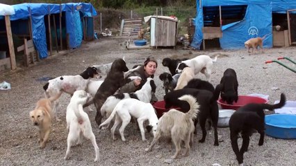 Hayvan hakları için çöplükte açlık grevi yapıyor - BARTIN