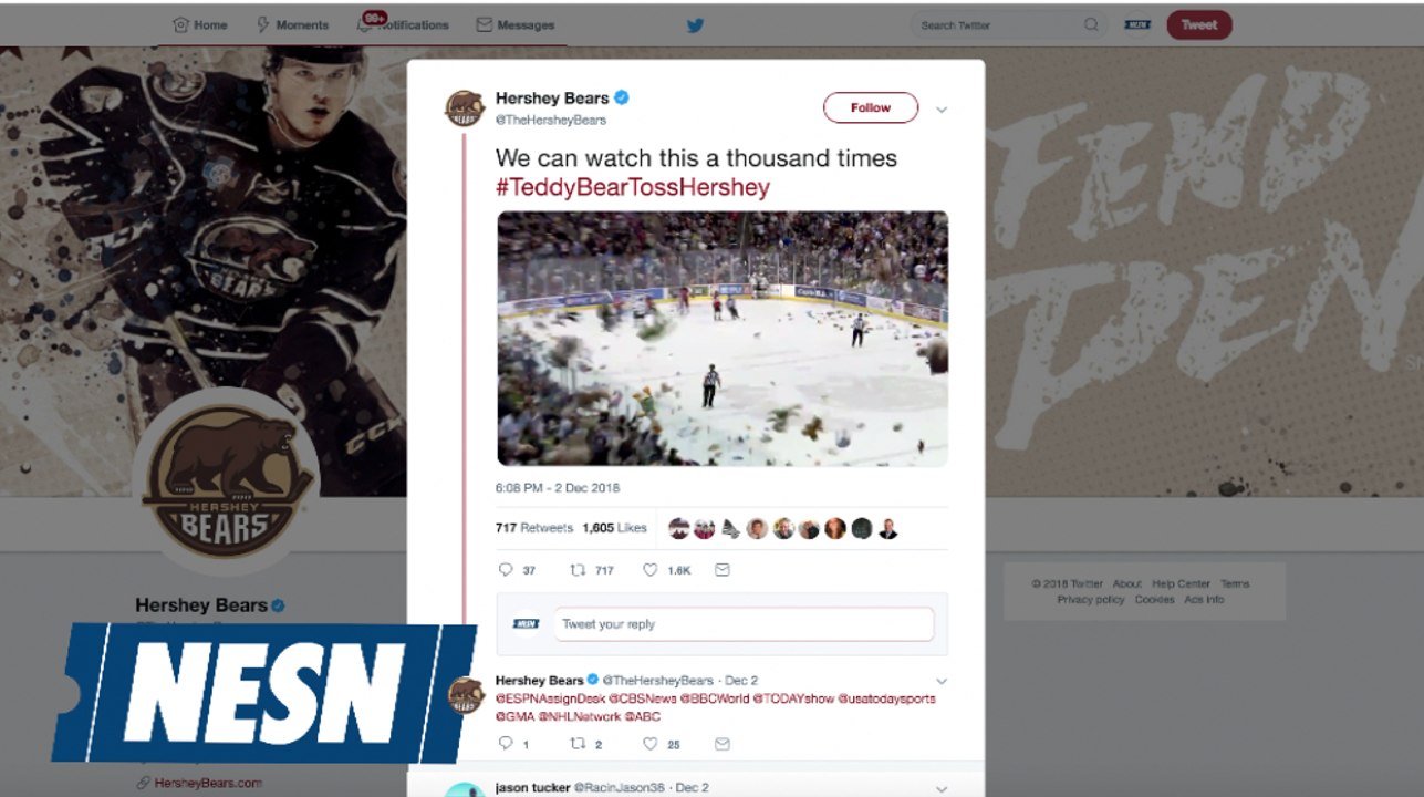 Hershey Bears Set Record For Teddy Bear Toss