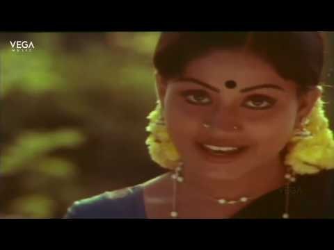Tamil Movie Video Song Chinna Kiliye Chella Kiliye