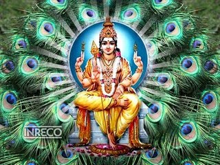 Mayil Meedhu Vilayadum - Golden Marvels
