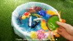 Learn Colors With Zoo Animals in Water Tub Shark Toys For Kids