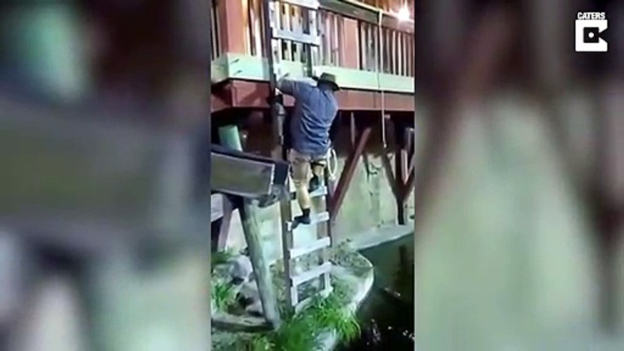 Un dresseur tombe dans le bassin des alligators