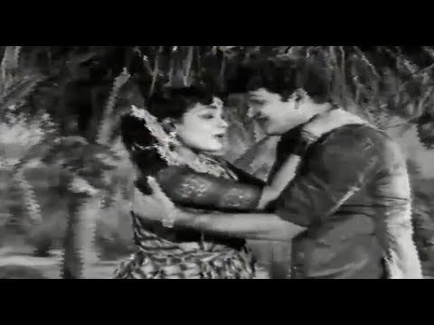 Deiva Thirumagal Tamil Movie Back To Back Video Songs || Old Super Hit Movie