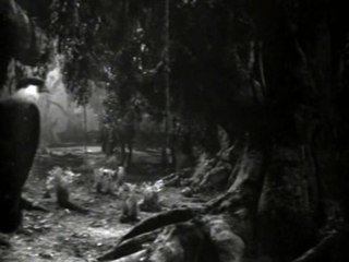 Los tres huastecos - Atardecer huasteco 1