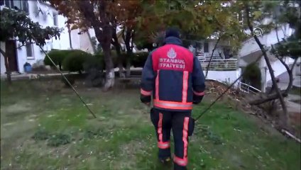 Yangına kovalarla müdahale - İSTANBUL