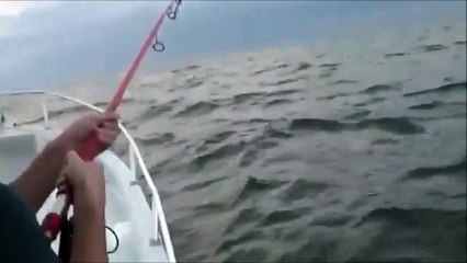 Il attrape un poisson déjà avalé par un autre... Dingue