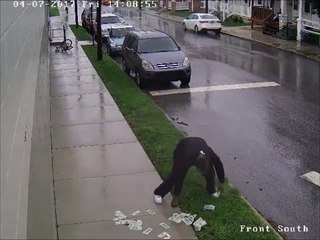 Voici le pire voleur du monde