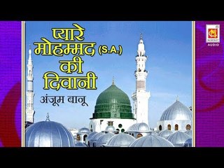 Pyare Mohammed S A Ki Diwani || Singer : Anjum Banoo || Album : Aap Ke Sath Sath || Audio Qawwali