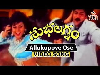 Allukupove Ose Malle Teega Full Video Song | Subhalagnam Movie | Jagapathi Babu,Roja  |  vega music