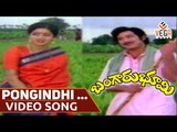 Bangaru Bhoomi Movie Songs    Pongindhi Pongindhi    Krishna    Sridevi
