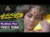 Muddula Maa Babu Full Video Song - Jeevana Jyothi Telugu Movie | | Vanisri || Shoban Babu