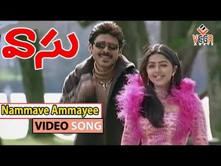Nammave Ammayee Video Song || Vasu Movie Songs || Venkatesh  || Bhoomika Chawla  || TVNXT Music