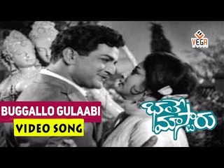Bhale Mastaru || Telugu Movie Songs    Buggallo Gulaabi    NTR    Kanchana     Krishnam Raju