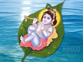 Suttum Vizhi (Violin) - Musical Melodies-Claasical Instrumental