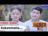 Thodu Needa Telugu Movie Songs || Kokammatta || Sobhan Babu || Radhika