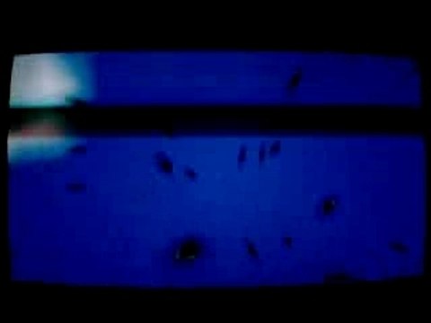 En route vers le chateau d'hyrule(45)