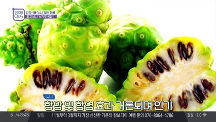 노니에서 쇳가루 검출 확인