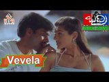 Badri Telugu Movie Songs | Vevela Mainala Video Song | Pawan Kalyan, Amisha Patel | Ramana Gogula