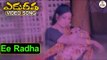 Edureetha -Telugu Movie Songs | Ee Raadha Chivaraku Video Song | NTR | Jayasudha | VEGA Music