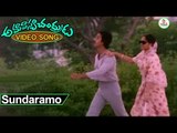 Amavasya Chandrudu Movie Songs | Sundaramo Video Song | Kamalhassan, Madhavi |Ilayaraja | Vega Music