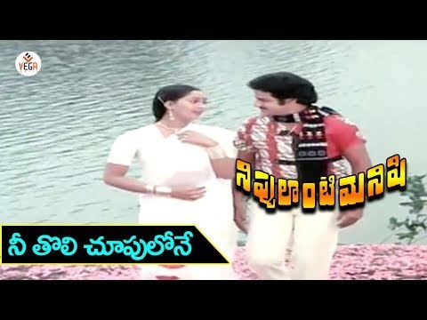 Nippulanti Manishi Telugu Movie Songs | Nee Tholi Choopulone Video Song | Balakrishna, Radha | Vega