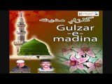 Kaun Kehta Hai Ke | Gulzar_E_Madina | Anees Darbari