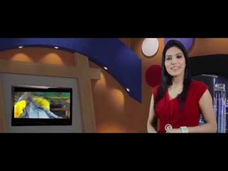 Upcoming Punjabi Star e.g. Singer / Anchor / Model / Comedian & any other talent