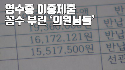 [자막뉴스] '영수증 이중제출'...꼼수 부린 '의원님들' / YTN
