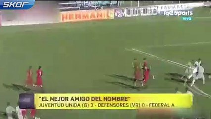 Haftanın kurtarışı bir köpekten geldi!