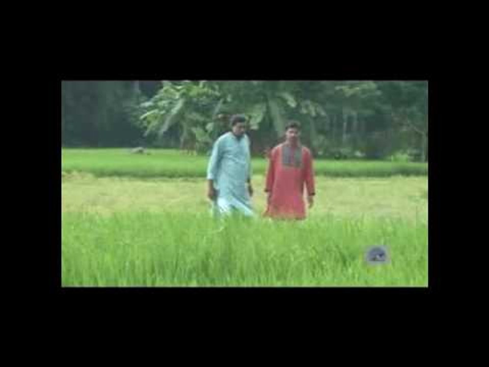 Ache Hajar Hajar | Chuler Khopae Ful Dole