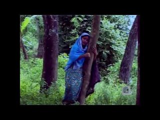 Geet Yea Tere | Mere Dil Ke Yara | Nirjharer Swapna