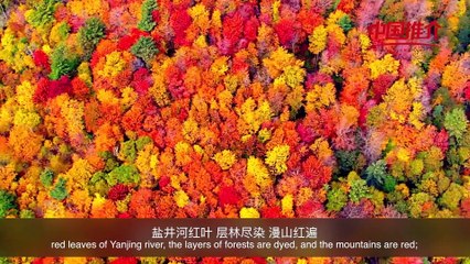 China-Recommendation——the Bright and Colourful City, the Gorgeous Wang Cang