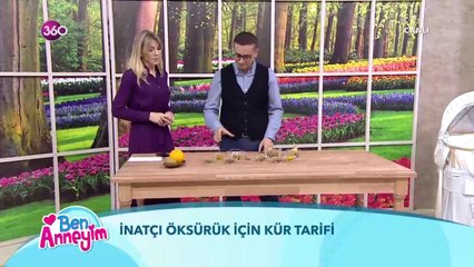 İnatçı öksürük için kür tarifi