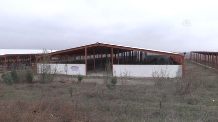 Hesapları Bloke Edilen Köylüler Yardım Bekliyor