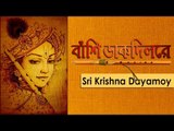 Sri Krishna Doyamoy || Nonstop Binodon || Nonstop Binodon