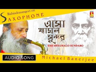 Eso Shyamalo Sundaro | Rabindra Sangeet Instrumental Song | Michael Banerjee | Bhavna Records
