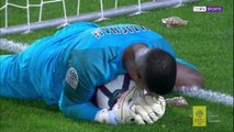 Kiper Lille Dilempari Kacang Oleh Fans Montpellier