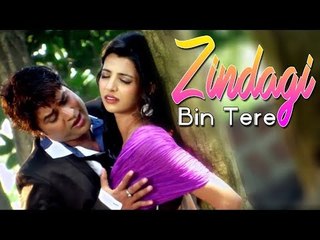 Zindagi Bin Tere | Dil Ka Sukoon | Gufy | Official Video Song
