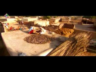 Jassi Sohal | Kabaddi | Music Waves