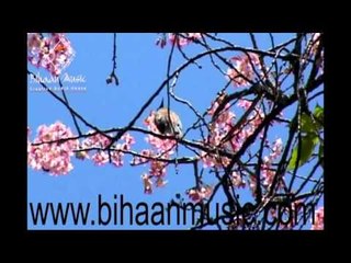 BENGALI FOLK SONG || Nil Moyurer Desh || Nilratan Kanjilal || Bihaan Music