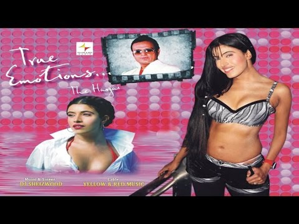 Teri Chahhat Main | True Emotions - The Harjai | Lyrical Song | DJ Sheizwood