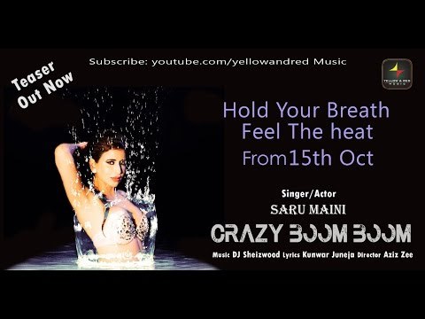 Crazy Boom Boom | Teaser | Saru Maini , DJ Sheizwood
