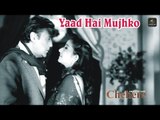 Yaad hai mujh ko | Chehere | Movie Song | Lyrical | Jackie Shroff | Manisha Koirala