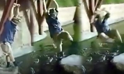 Timsah dolu havuza böyle düştü